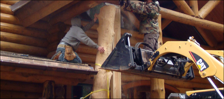 Log Home Log Replacement  Elliott,  South Carolina